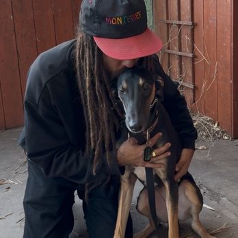 Ryan Furlet - So sweet with my 6 month old baby. - Pet Training Near Me - San Clemente, California Ryan Furlet - So sweet with my 6 month old baby. - Pet Training Near Me - San Clemente, California