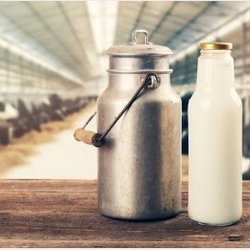 Gardinier Dairy Supply - Gardinier Dairy Supply Inc