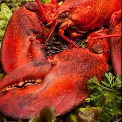 Avenue Seafood - Fresh lobster is one of their speciality, always fresh swimming lively in the tanks.  Pre-order cooked or fresh to take home.