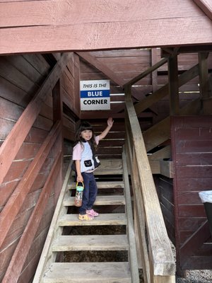 Puzzling World by null