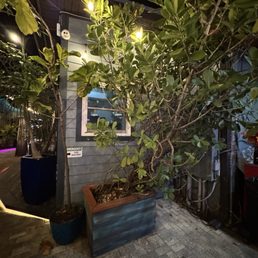 Outside Outside