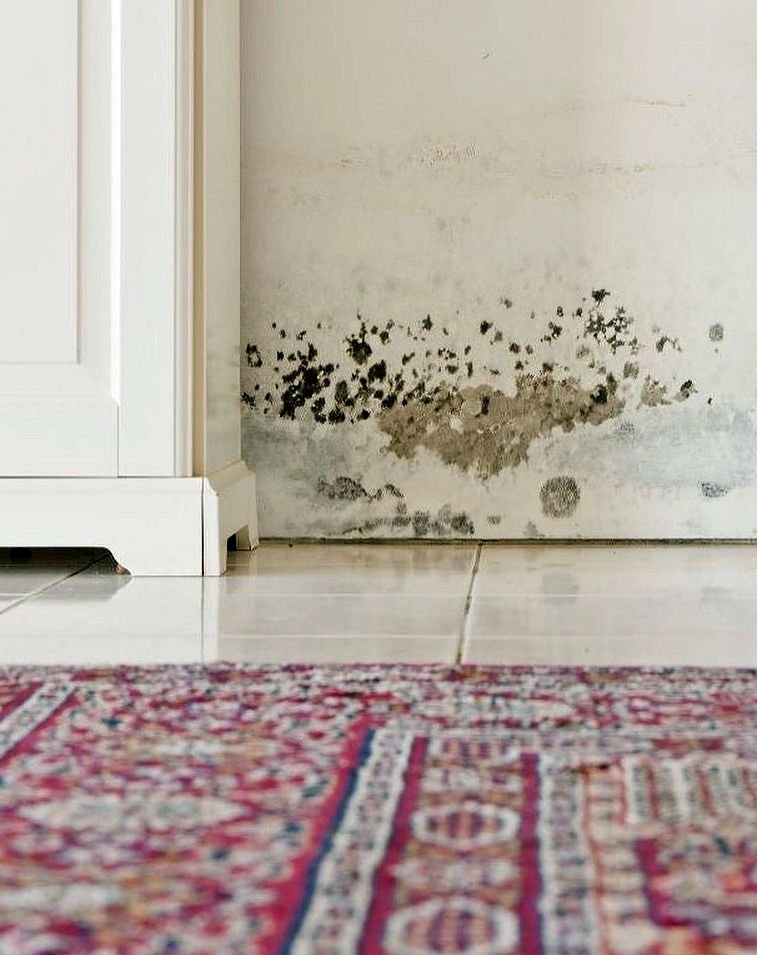 North Los Angeles Restoration - mold inspector in Los Angeles, CA