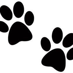 Rosebrock Veterinary Clinic