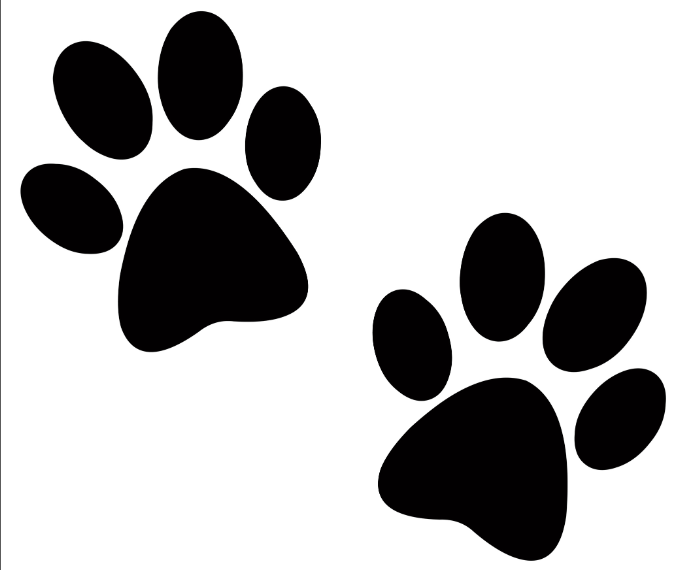 Rosebrock Veterinary Clinic Image