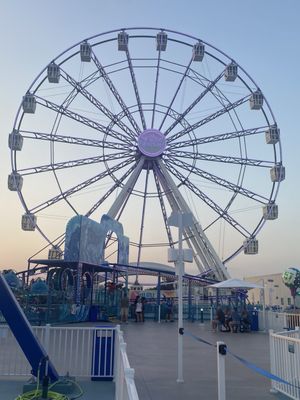 Paradise Pier Fun Park by null