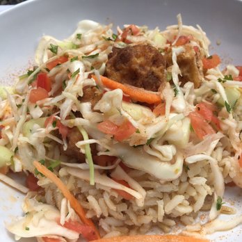 Bronx Zoo - Vegan Tofu bowl - Zoos Near Me - Bronx, New York