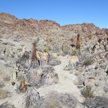 Art Smith trail head - Dying first oasis - Hiking Near Me - Palm Desert, California Art Smith trail head - Dying first oasis - Hiking Near Me - Palm Desert, California