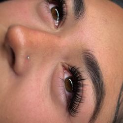 Lash & Brow - Wispy Volume Lashes