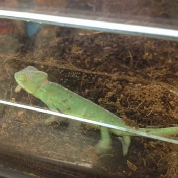 Petco - Pet Stores Near Me - Rego Park, New York Petco - Pet Stores Near Me - Rego Park, New York