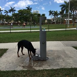Nice dog park. There are actually two parks: for small dogs and large dogs. Nice dog park. There are actually two parks: for small dogs and large dogs.