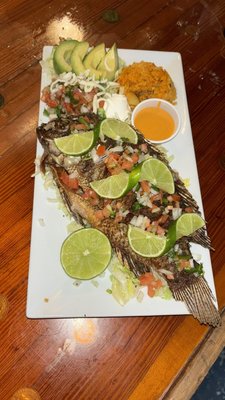 Agave Bar & Grill by null