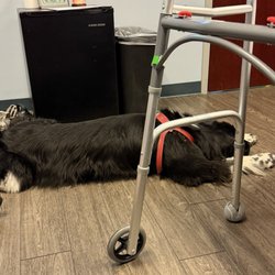 Coronado Surgery Center - Dogs allowed in recovery suites