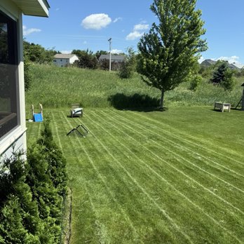 TruGreen Lawn Care - Green Grass - Tree Services Near Me - Minnetonka, Minnesota TruGreen Lawn Care - Green Grass - Tree Services Near Me - Minnetonka, Minnesota