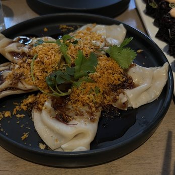 Beyond Sushi - Ginger "Beef" Dumplings - Sushi Bars Near Me - New York, New York