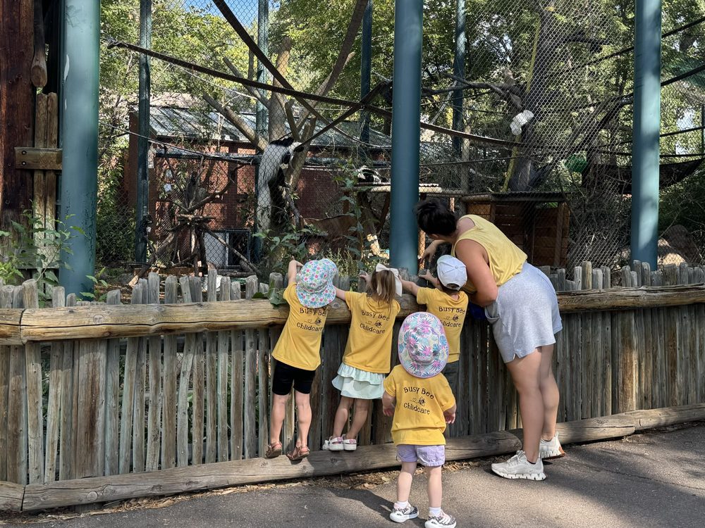 Arvada Busy Bee Childcare - childcare center in Arvada, CO