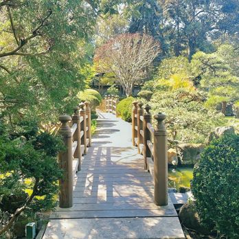 Japanese Gardens - Parks Near Me - San Mateo, California Japanese Gardens - Parks Near Me - San Mateo, California