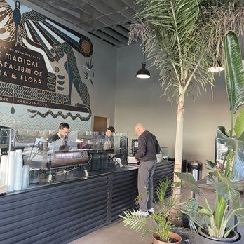 The Boy & The Bear - Inside - Coffee & Tea Near Me - Pasadena, California