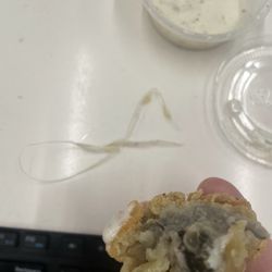 FISH N CHIC - Oyster that had the plastic in it