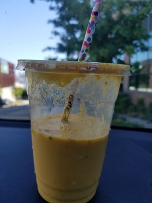 Lassi & Spice Wallingford by null