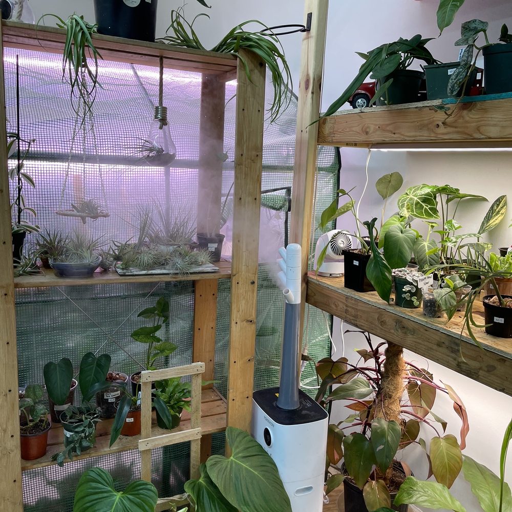 Green Spaces Plant Shop - inside plant shop - Nurseries & Gardening Near Me - Chicago, Illinois