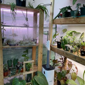 Green Spaces Plant Shop - inside plant shop - Nurseries & Gardening Near Me - Chicago, Illinois