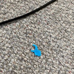 Beach Realty & Construction - Kitty Hawk Rentals Corolla Office - Left over tooth flosser from a previous renter