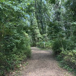 Garvies Point Museum & Preserve