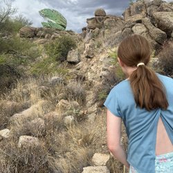 Frog Rock - Walking for photo op by Frog Rock!