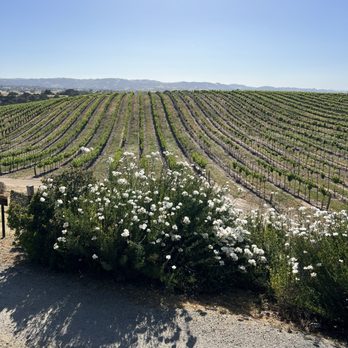 Eberle Winery - Wineries Near Me - Paso Robles, California