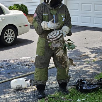 On The Go Services - Pest Control Near Me - Bowie, Maryland