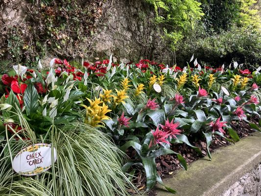 Cascate del Varone by null