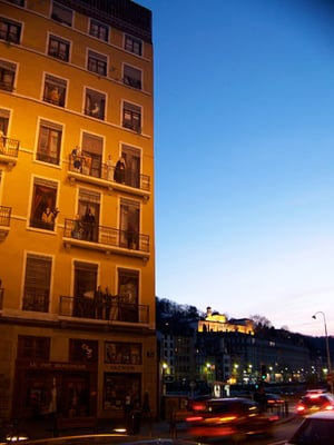 Fresque des Lyonnais by null