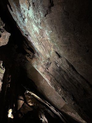 The Lost Sea Adventure by null