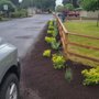 Photo of Mystic Landscaping