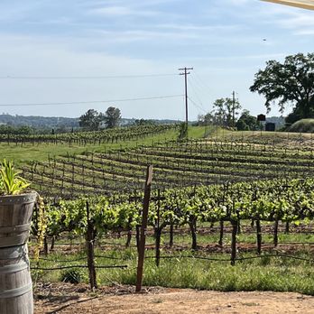 Villa Toscano Winery - Vineyards - Wineries Near Me - Plymouth, California Villa Toscano Winery - Vineyards - Wineries Near Me - Plymouth, California