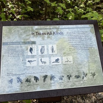 Happy Isles - May 16, 2024 - Walking Tours Near Me Happy Isles - May 16, 2024 - Walking Tours Near Me