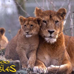 Zoo des Sables d'Olonne