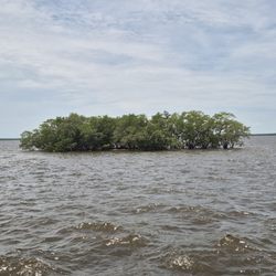 Gulf Coast Visitor Center - Everglades National Park