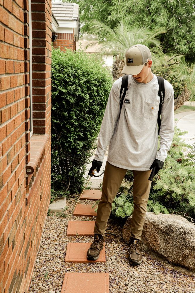 Skuteczna Walka z Szkodnikami: Nowoczesne Metody Dezynfekcji i Dezynsekcji