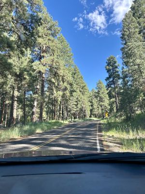 Pine Valley Recreation Area by null