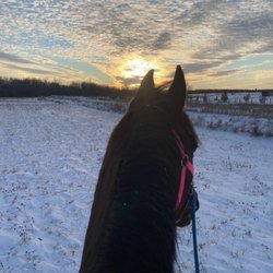 Maple Valley Equestrian