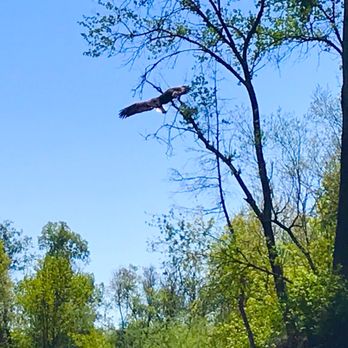 SOAR Inflatables & Russian River Adventures - Rafting/Kayaking Near Me - Healdsburg, California