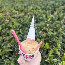 Baskin-Robbins - plant based coffee ice cream