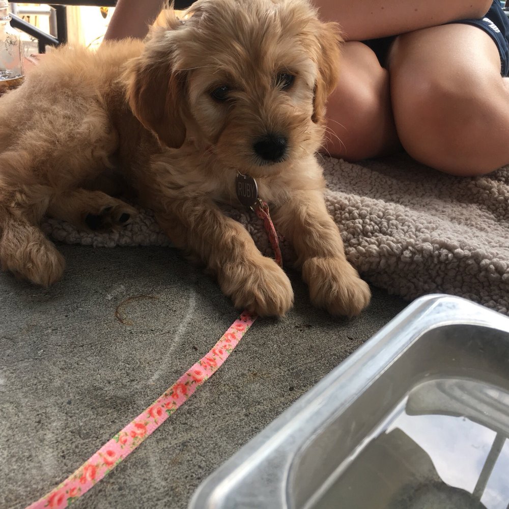 The Mason Jar Grill & Pub - Enjoying the breeze of the back patio, and Aurora's finest bowl of water. - Salad Near Me - Aurora, Ohio The Mason Jar Grill & Pub - Enjoying the breeze of the back patio, and Aurora's finest bowl of water. - Salad Near Me - Aurora, Ohio