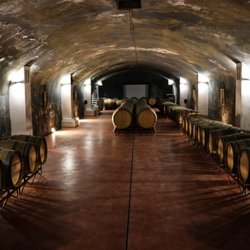 Casal Sta. Maria - The beautiful cellar.