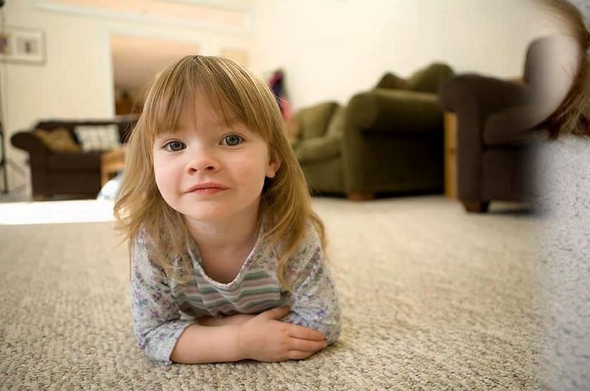 PHILADELPHIA CARPET CLEANING PROS 5700 N Broad St, Philadelphia