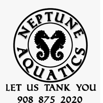 Neptune Aquatics - Aquarium Services Near Me Neptune Aquatics - Aquarium Services Near Me