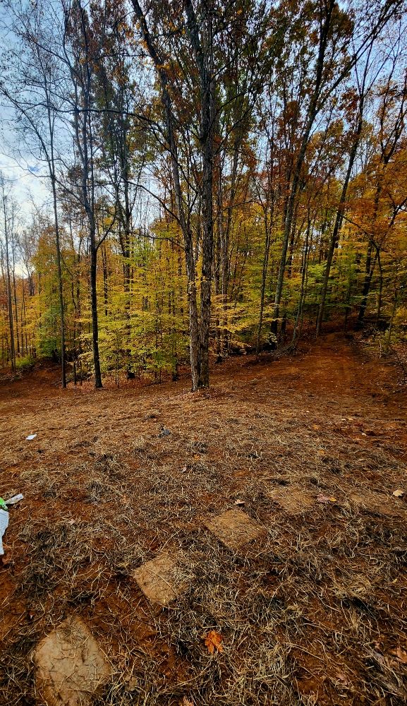 Slide of 13 Moons Grading