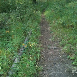 Pend Oreille County Park - Hiking the Pathfinder trail.