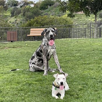 Happy Tails - Dog Walkers Near Me Happy Tails - Dog Walkers Near Me